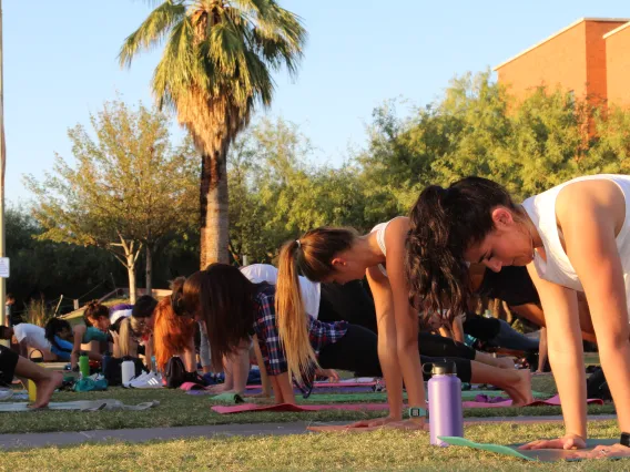 People doing Yoga