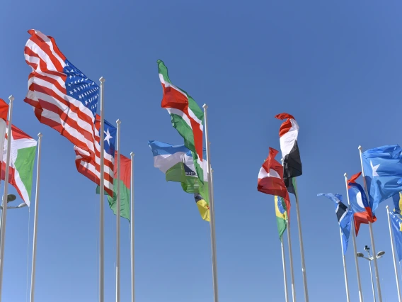 Assortment of flags