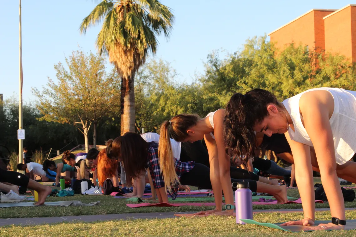 People doing Yoga