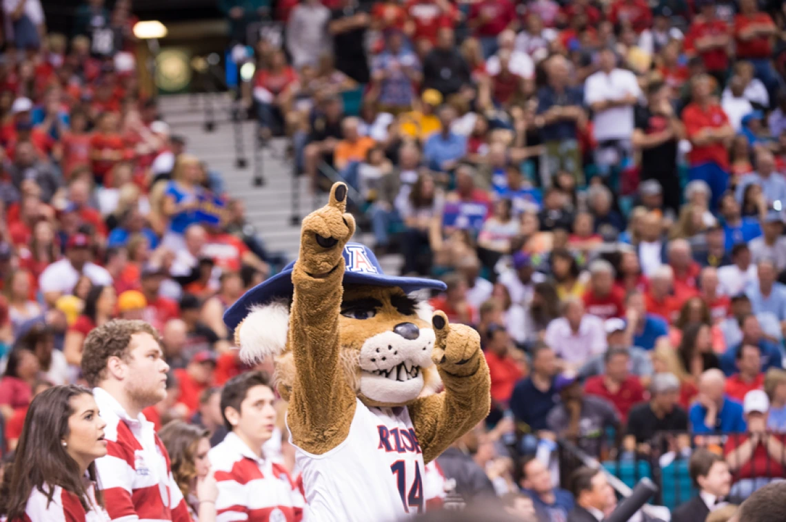 Wilbur Wildcat pointing and UA fans in stadium rows behind